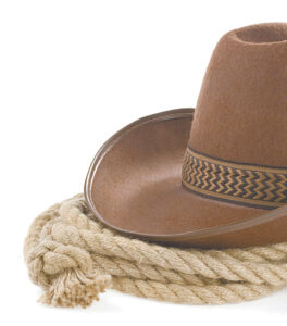 article image - RODEO IMAGE